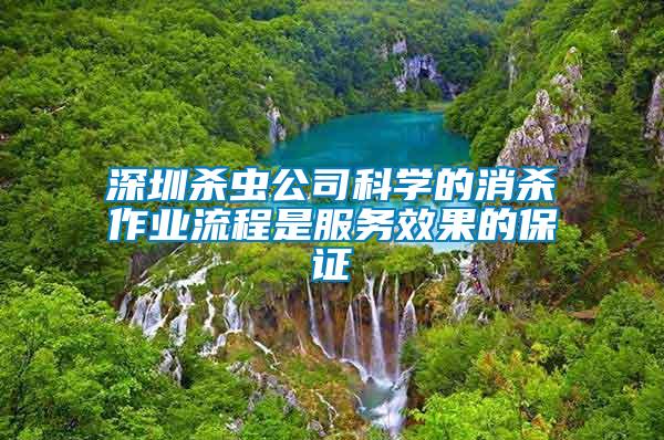 深圳殺蟲公司科學的消殺作業(yè)流程是服務效果的保證