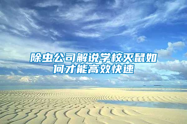 除蟲公司解說學(xué)校滅鼠如何才能高效快速