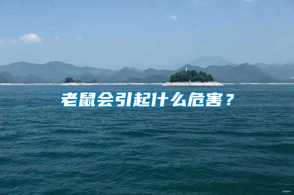 老鼠會(huì)引起什么危害？