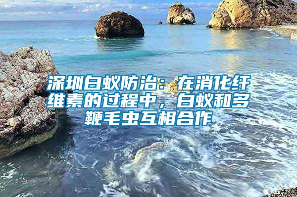 深圳白蟻防治：在消化纖維素的過程中，白蟻和多鞭毛蟲互相合作