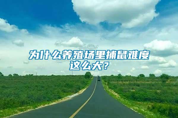 為什么養(yǎng)殖場里捕鼠難度這么大？