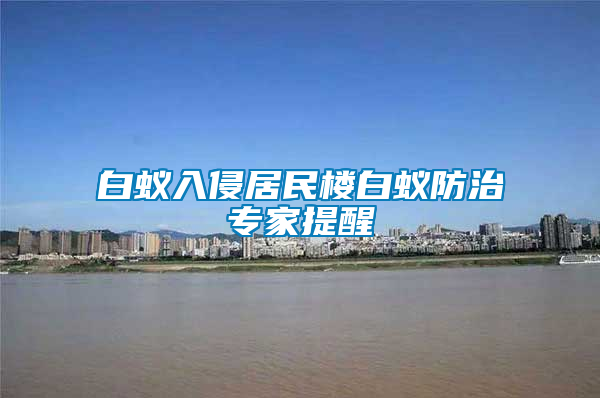 白蟻入侵居民樓白蟻防治專(zhuān)家提醒