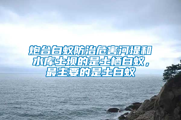 炮臺白蟻防治危害河堤和水庫土壩的是土棲白蟻，最主要的是土白蟻