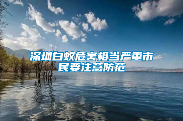 深圳白蟻危害相當嚴重市民要注意防范