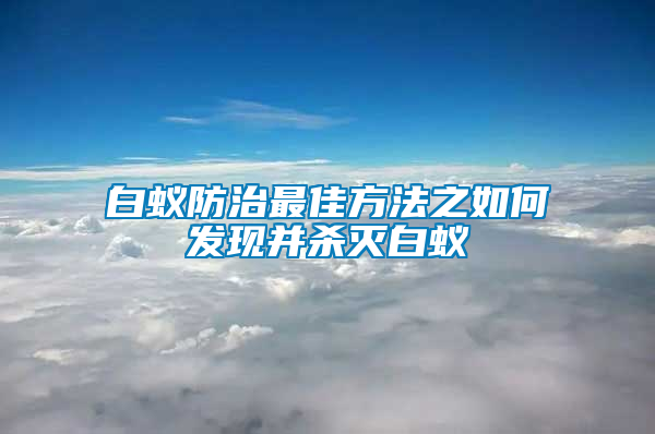 白蟻防治最佳方法之如何發(fā)現(xiàn)并殺滅白蟻