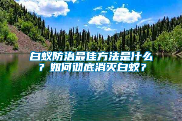 白蟻防治最佳方法是什么？如何徹底消滅白蟻？