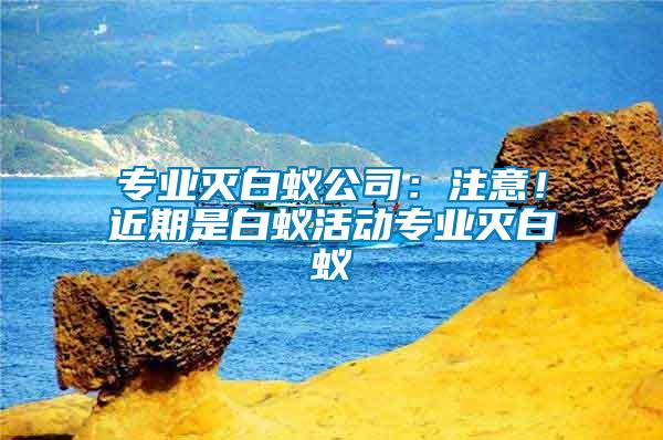 專業(yè)滅白蟻公司：注意！近期是白蟻活動專業(yè)滅白蟻