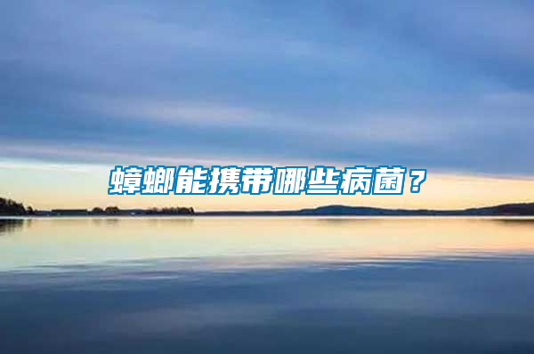 蟑螂能攜帶哪些病菌？