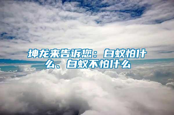 坤龍來告訴您：白蟻怕什么、白蟻不怕什么