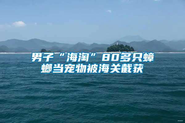 男子“海淘”80多只蟑螂當(dāng)寵物被海關(guān)截獲