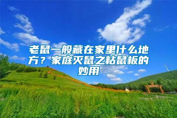 老鼠一般藏在家里什么地方？家庭滅鼠之粘鼠板的妙用