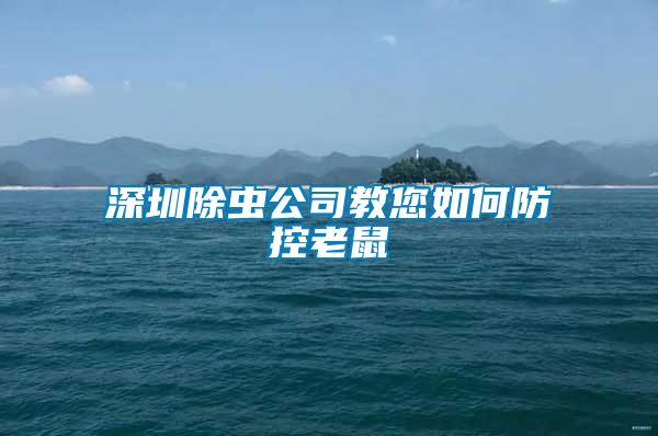 深圳除蟲公司教您如何防控老鼠