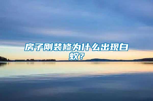 房子剛裝修為什么出現(xiàn)白蟻？