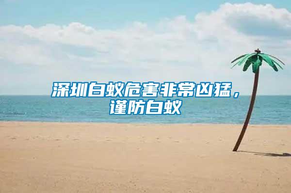 深圳白蟻危害非常兇猛，謹(jǐn)防白蟻