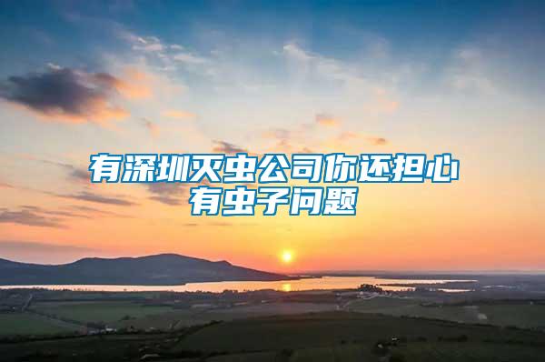 有深圳滅蟲公司你還擔(dān)心有蟲子問題