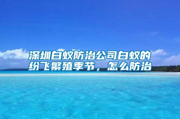 深圳白蟻防治公司白蟻的紛飛繁殖季節(jié)，怎么防治