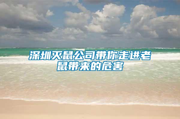 深圳滅鼠公司帶你走進老鼠帶來的危害