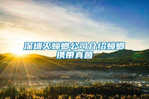 深圳滅蟑螂公司介紹蟑螂攜帶真菌