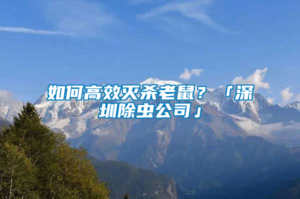 如何高效滅殺老鼠？「深圳除蟲(chóng)公司」