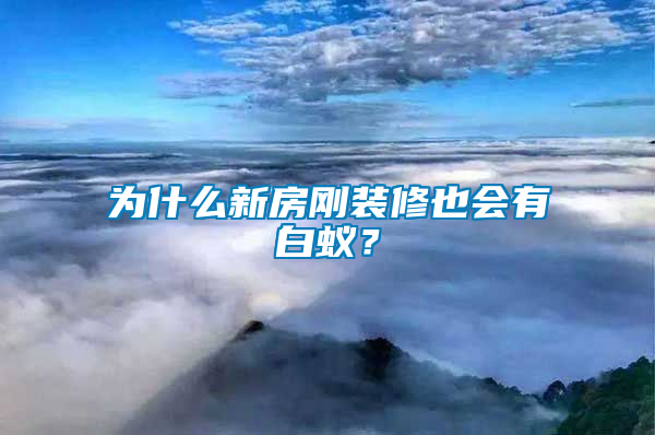 為什么新房剛裝修也會(huì)有白蟻？