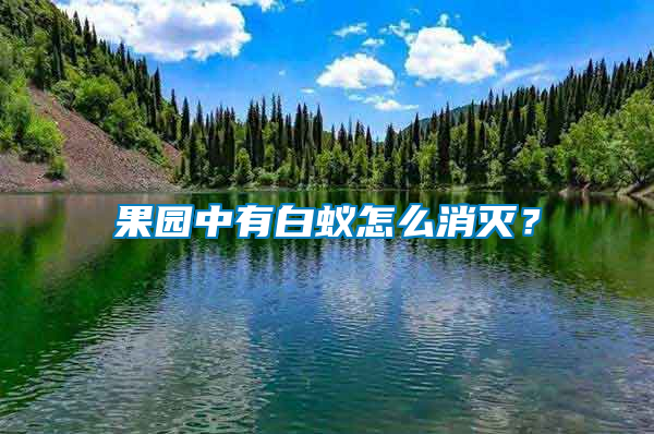 果園中有白蟻怎么消滅？