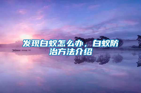 發(fā)現(xiàn)白蟻怎么辦，白蟻防治方法介紹