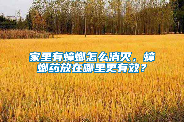 家里有蟑螂怎么消滅，蟑螂藥放在哪里更有效？