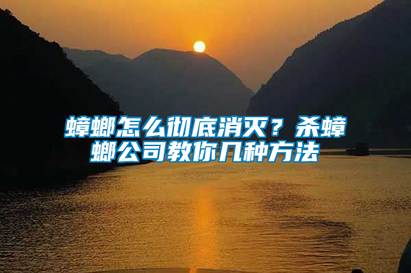 蟑螂怎么徹底消滅？殺蟑螂公司教你幾種方法