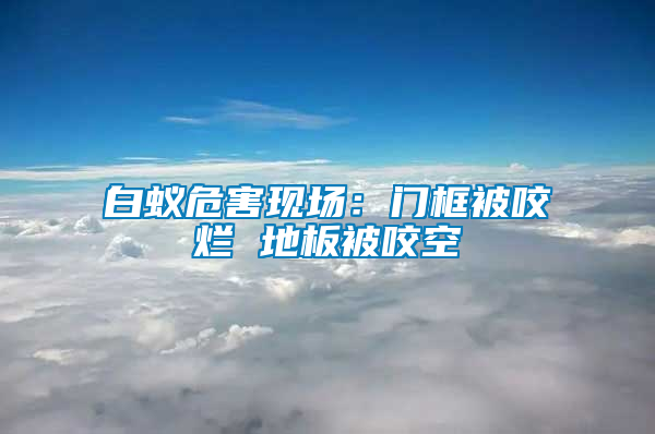 白蟻危害現(xiàn)場：門框被咬爛 地板被咬空