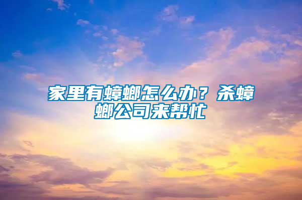 家里有蟑螂怎么辦？殺蟑螂公司來(lái)幫忙