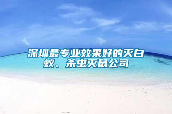 深圳最專業(yè)效果好的滅白蟻、殺蟲滅鼠公司