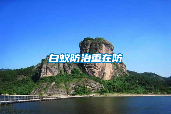 白蟻防治重在防