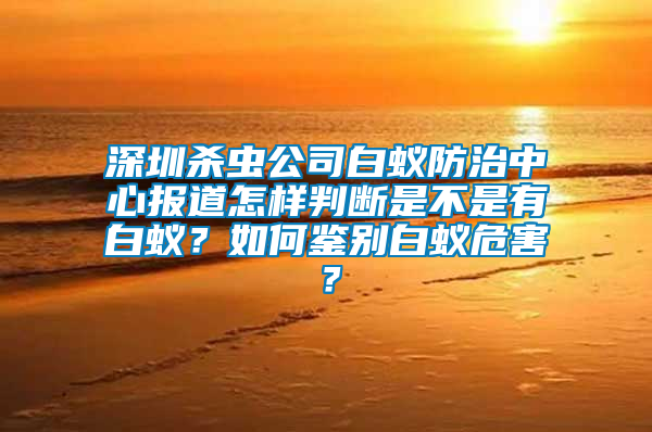 深圳殺蟲公司白蟻防治中心報(bào)道怎樣判斷是不是有白蟻？如何鑒別白蟻危害？