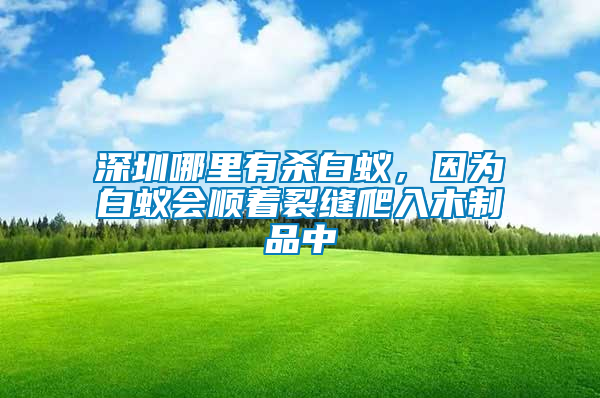 深圳哪里有殺白蟻，因?yàn)榘紫仌?huì)順著裂縫爬入木制品中