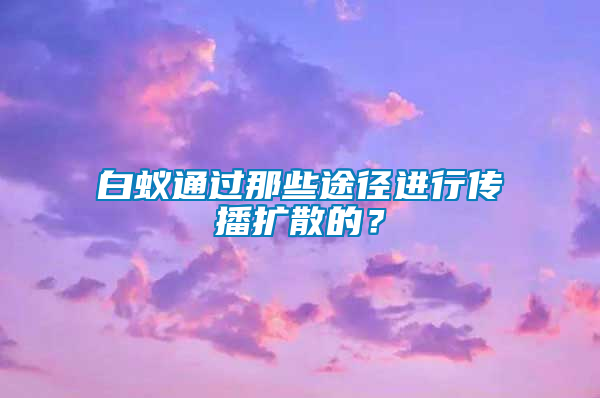 白蟻通過(guò)那些途徑進(jìn)行傳播擴(kuò)散的？