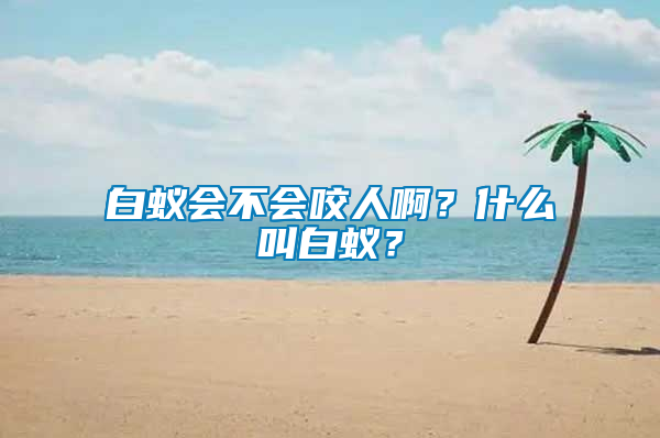 白蟻會(huì)不會(huì)咬人??？什么叫白蟻？