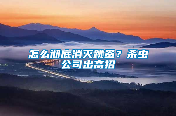 怎么徹底消滅跳蚤？殺蟲公司出高招