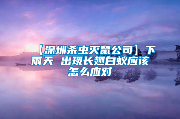 【深圳殺蟲(chóng)滅鼠公司】下雨天 出現(xiàn)長(zhǎng)翅白蟻應(yīng)該怎么應(yīng)對(duì)