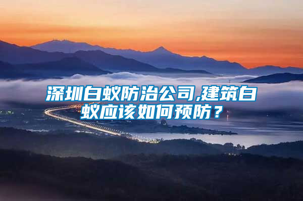 深圳白蟻防治公司,建筑白蟻應該如何預防？