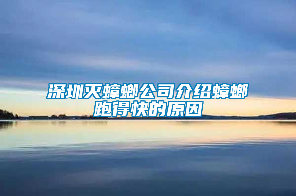 深圳滅蟑螂公司介紹蟑螂跑得快的原因