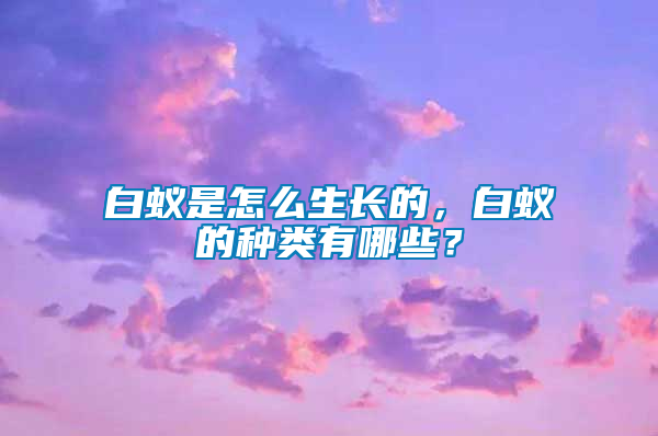 白蟻是怎么生長的，白蟻的種類有哪些？