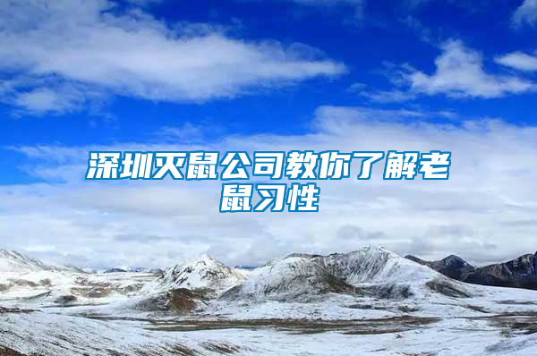 深圳滅鼠公司教你了解老鼠習(xí)性