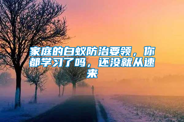 家庭的白蟻防治要領(lǐng)，你都學(xué)習(xí)了嗎，還沒就從速來