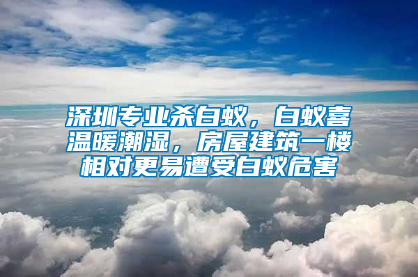 深圳專業(yè)殺白蟻，白蟻喜溫暖潮濕，房屋建筑一樓相對更易遭受白蟻危害