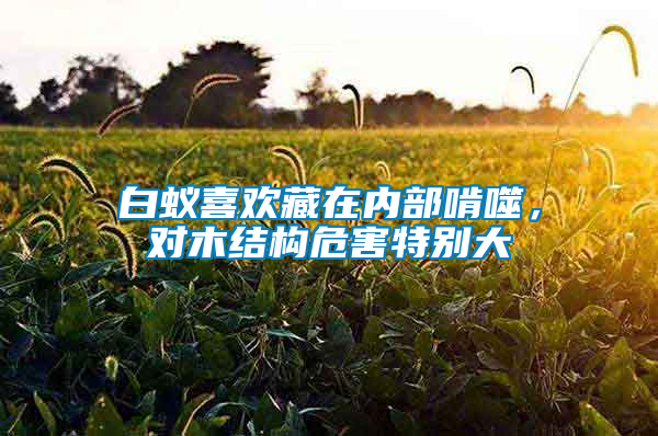 白蟻喜歡藏在內(nèi)部啃噬，對(duì)木結(jié)構(gòu)危害特別大