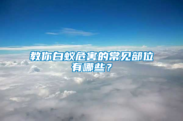 教你白蟻危害的常見部位有哪些？