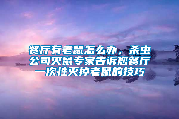 餐廳有老鼠怎么辦，殺蟲公司滅鼠專家告訴您餐廳一次性滅掉老鼠的技巧