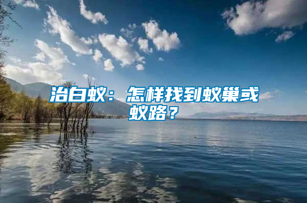 治白蟻：怎樣找到蟻巢或蟻路？