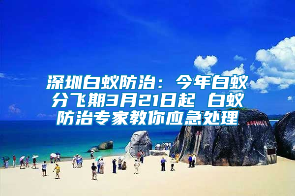 深圳白蟻防治：今年白蟻分飛期3月21日起 白蟻防治專家教你應(yīng)急處理