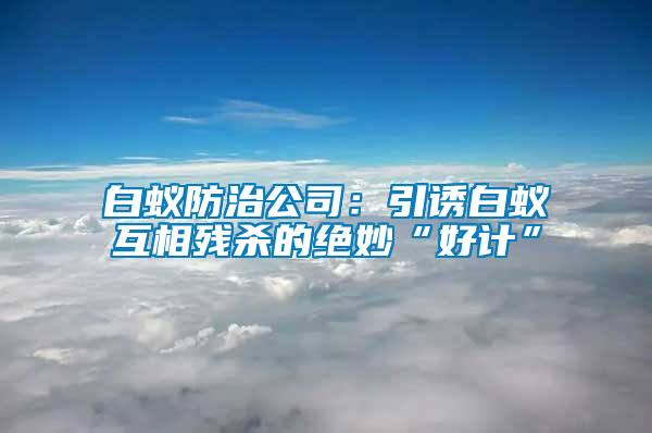 白蟻防治公司：引誘白蟻互相殘殺的絕妙“好計”